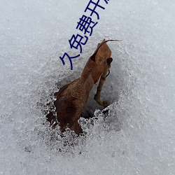 久免费开放