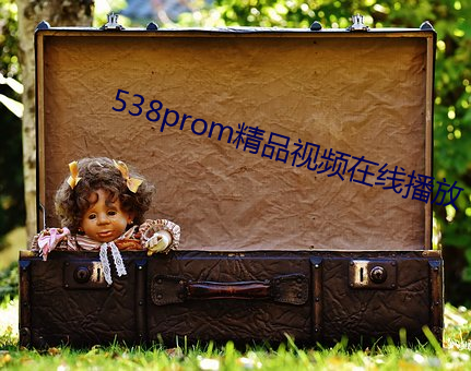 538prom精品视频在线播(bō)放