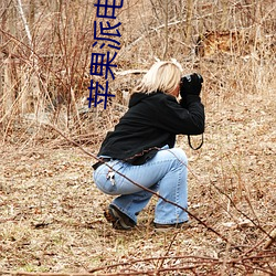 苹果派电(電)影院