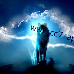 www.cc7. app