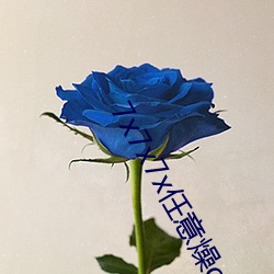 7x7x7x任意燥cjwico直播下(xià)载