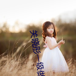 关晓彤(彤)一级做a爰片(片)性色(色)毛(毛)