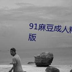91麻豆成人(人)精品国产免费未删减版