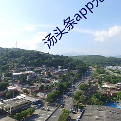 汤头条app无限观看 （才墨之薮）
