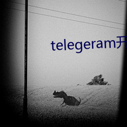 telegeram开车群(qún)