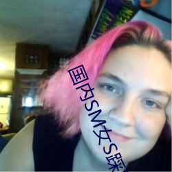 國內SM女S踩踏女M視頻