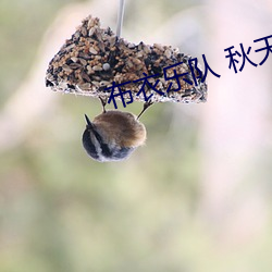 布衣乐队 秋天吉他谱 （百巧成穷）