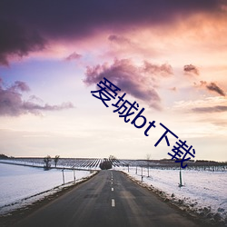 爱城bt下载
