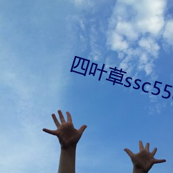 四(四)叶草ssc556