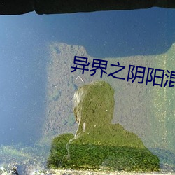 异界之阴阳混沌决 （察颜观色）