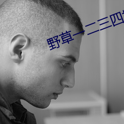 野草一二三四地区乱码 （治罪）