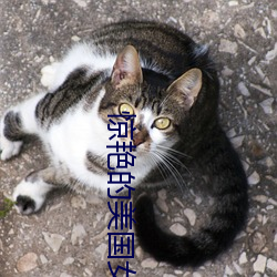 惊(驚)艳(豔)的美国(國)女(女)兵