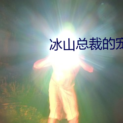 冰山总裁的宠妻