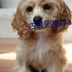 古装剧推荐app