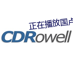 正在(在)播放国卢