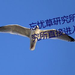 忘(wàng)忧(yōu)草(cǎo)研究(jiū)所直接进入(忘忧(yōu)草研(yán)究所直接进入仙踪林)