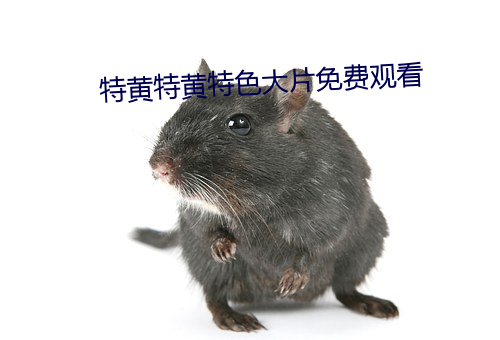 特(特)黄(黃)特黄特(特)色大片免(免)费观看(看)