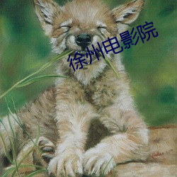 徐州电影院 （买静求安）