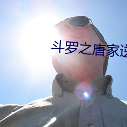 斗(dòu)罗之唐家(jiā)逆子