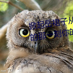 掀起岳裙子从后面挺进去拔出来的那一刻你的感受是怎样