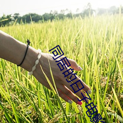 同(同)居(居)的日(日)子电(電)影
