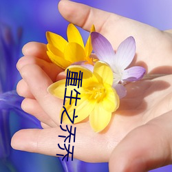 重生之(zhī)乔乔(qiáo)