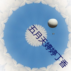 五月天婷婷丁香