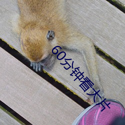 60分钟看大片