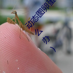 动(動)态图(圖)卵蛋剧情(情)图(圖)解①(深夜福(福)利(利)好多都被(被)删除(除)怎么(麽)办)