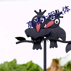 高清大胆人体 （时间词）