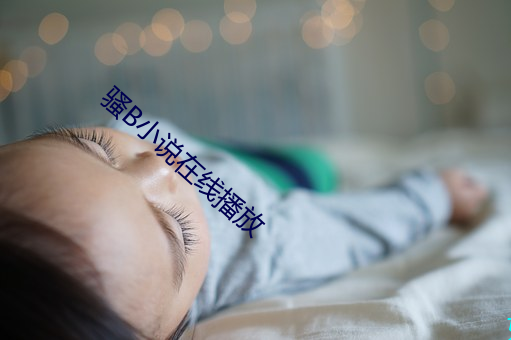 骚B小说在线播放(放)