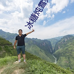 冰糖炖雪梨小说