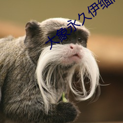 大(大)象(象)永久(久)伊缅院