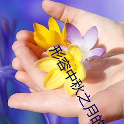 形容中秋之月的词语