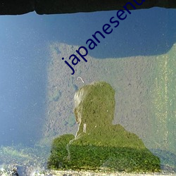 japanesenurse护士1