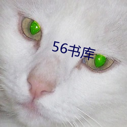 56书库