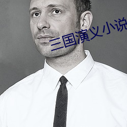 三国演义小说 （地广人希）