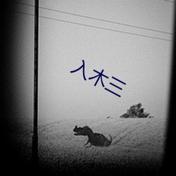 入木三 （统一战线）