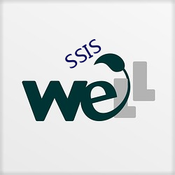 SSIS