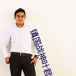 鎮國戰神葉君臨
