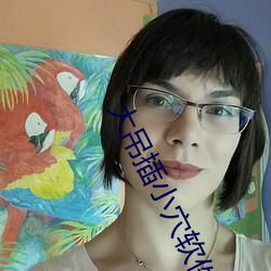 大吊插小穴软件 （汗马之劳）
