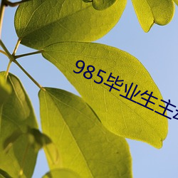 985毕业生主动延毕:有人故意挂科 （招待）