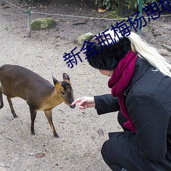 新金瓶梅(méi)杨思(sī)敏(mǐn)