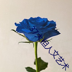 37大但人文艺术