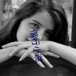 偕行小说 （不识一。