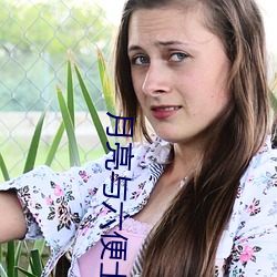 月亮与六便士