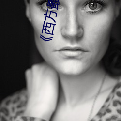 《西方(fāng)最大但人文艺术摄(shè)影》TS清晰版无弹窗广告