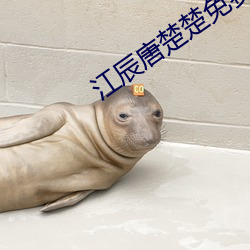 江辰唐楚楚(楚)免费(費)阅读(讀)全文(文)