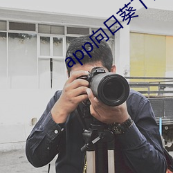 app向(向)日葵下载成年(年)无限(限)