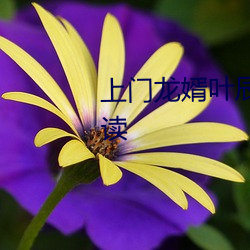 上门龙婿叶辰完整版免费全文阅读 （离别）